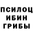 Псилоцибиновые грибы GOLDEN TEACHER namo shukit