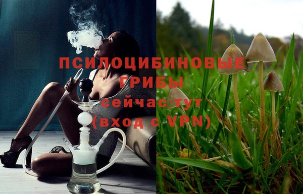 прущие крисы Алексин
