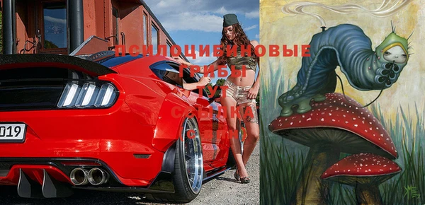 МДПВ Абдулино