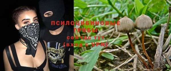 ALPHA-PVP Алексеевка