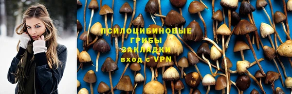 МДПВ Абдулино