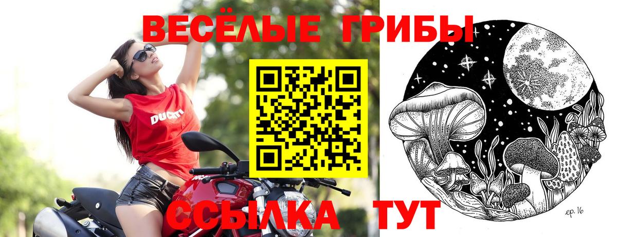 Галлюциногенные грибы Cubensis  Вход с VPN  Псилоцибиновые грибы Cubensis  Норильск 